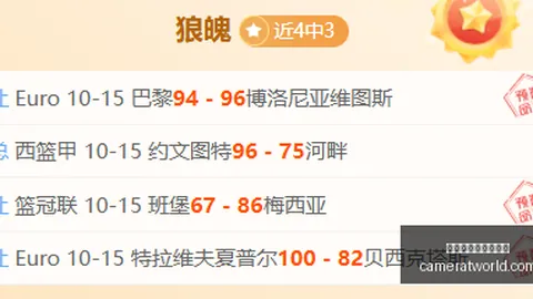 辽宁外援洛夫顿获橄榄枝：加盟内幕